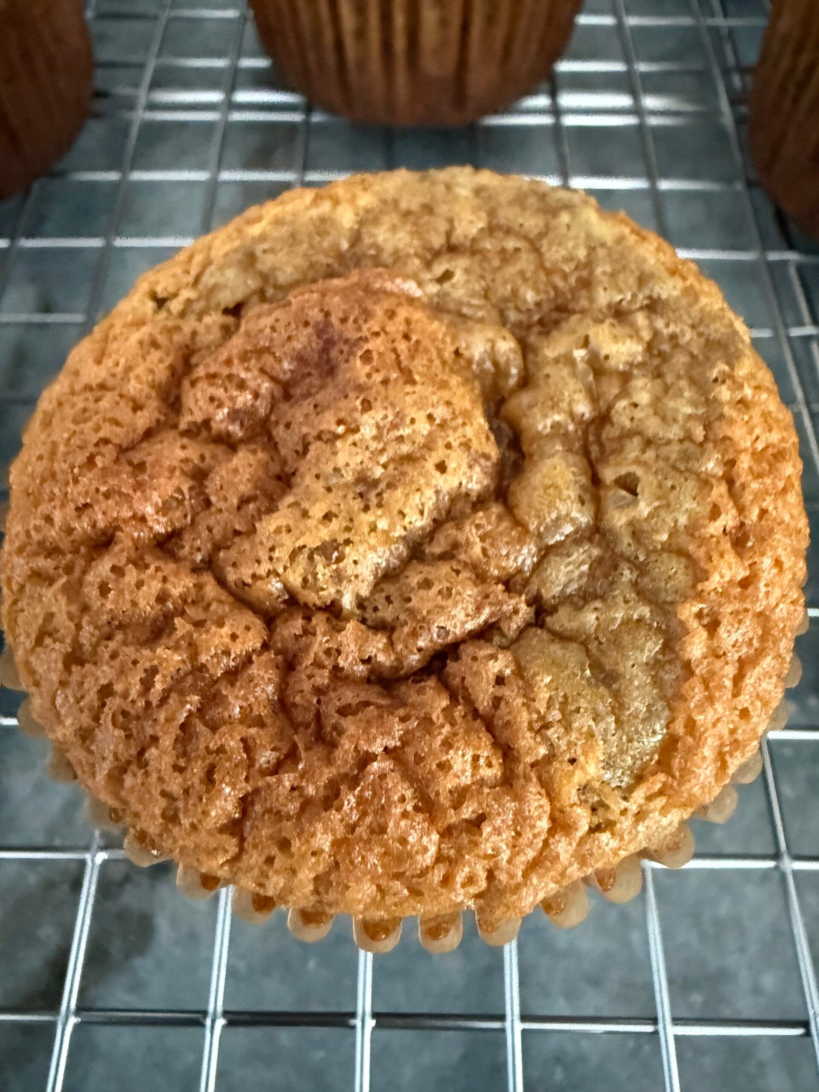 Golden Poppy Perfection - NEW! - Image 4